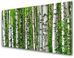 Akrilkép Nature Plant Erdei fák 100x50 cm