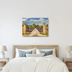 Üveg kép - Levendula ösvények (70x50 cm)