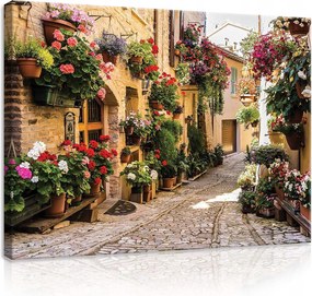 Vászonkép 100x75 Virágos utca olasz város nyár nap macskakő muskátli