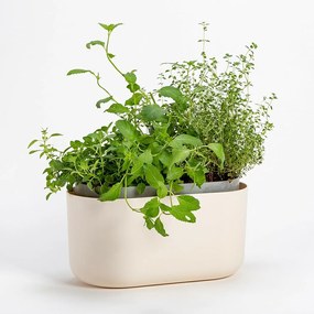 Plastia Tolita önöntöző virágláda, bézs, 31 x 16 cm