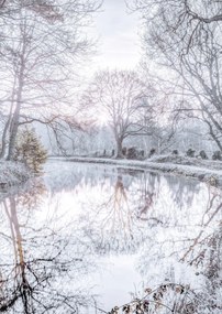 Poszter 42x59,4cm Csatorna fákkal, Assaf Frank