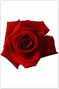 Poszterek 80x120 Nőnap Ajándék Love