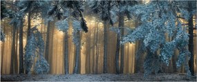 A havas erdő képe (120x50 cm)