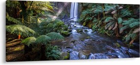 Ausztrál esőerdő képe (120x50 cm)
