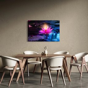 Tavirózsa a vízen képe (90x60 cm)