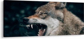 Farkas képe (120x50 cm)