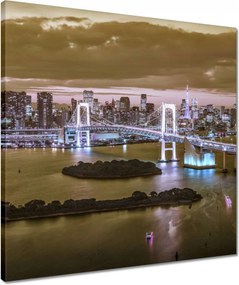 Vászonkép 50x50 Szivárványhíd Tokióban