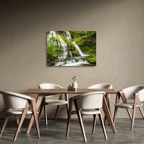 Kép - Vízesés, Wind River Valley (üvegen) (70x50 cm)