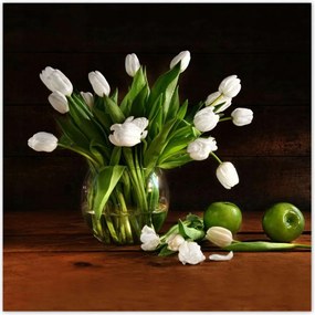 Poszterek 30x30 Fehér tulipánok Sötét háttér