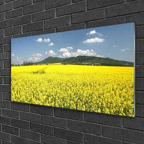 Fali üvegkép Mező Mező Természet repce 125x50 cm