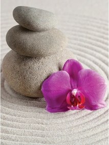 Flizelin fotótapéta Kövek Orchidea Homok Zen Szürke 206x275 +ragasztó
