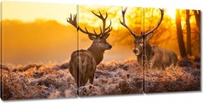 Vászonkép 150x70 Szarvasok a bömbölőn