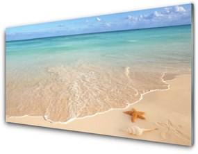 Akrilkép Starfish Beach Landscape 100x50 cm 2 fogas