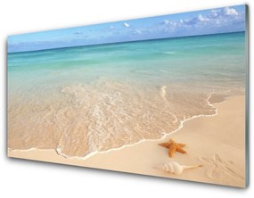 Akrilkép Starfish Beach Landscape 100x50 cm