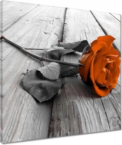 Vászonkép 50x50 Tearózsa Deszka