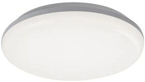 Rabalux 7979 - LED Kültéri mennyezeti lámpa ERIC LED/24W/230V IP64