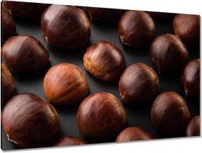 Festmények 120x80 Kormány Ehető gesztenye