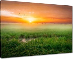 Vászonkép 70x50 Napfelkelte Ébredés