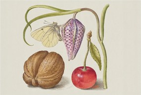 Fotótapéta Flizelin Dekoratív Hálószoba Pillangó növények 104x70 Ragasztó