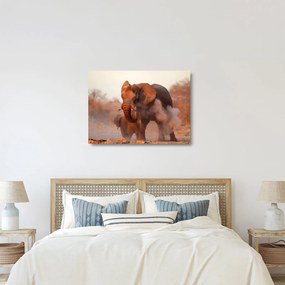 Üveg kép - Nagy afrikai elefánt (70x50 cm)