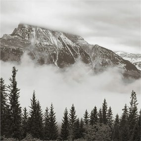 Flizelin tapéta Divatos 3D fali ragasztóval Hegyi táj 250x250 Ragasztó