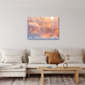 Kép - fagyos hajnal (70x50 cm)