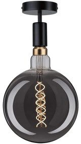 Paulmann 79760 - Mennyezeti lámpa HALDOR 1xE27/20W/230V