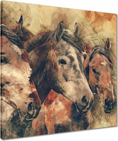 Vászonkép 60x60 Lófejek