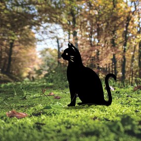 Cat 02