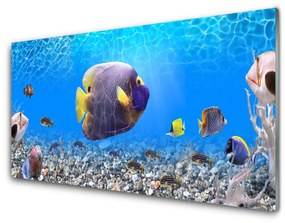 Modern üvegkép hal Természet 100x50 cm
