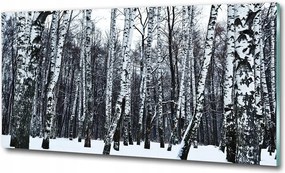 Fotó üvegkép Tengerparti dűnék 100x70