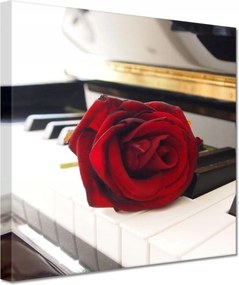 Vászonkép 20x20 Különböző a zongorán
