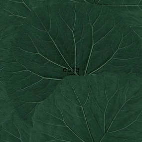 Trópusi Tapéta Sötétzöld Mintás Nagy Levelek