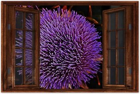 Poszterek 90x60 Virág Lila Csipkebogyó