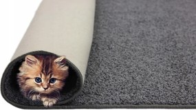 Shaggy szőnyeg Puha Vastag Grafit Tampa 200x250