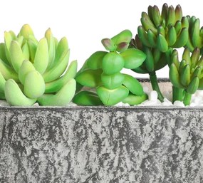 Eglo 428009 - Műnövény CHITOSE 14,5x17,8 cm, pozsgás cserépben