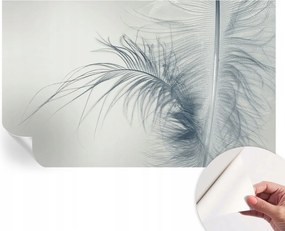 Modern öntapadós fotótapéta falra Finom toll 416x254 cm