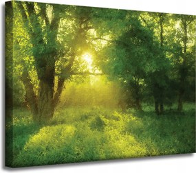 Vászonkép Pasztell Stílus Napfa 40x30 cm Ideális ajándék