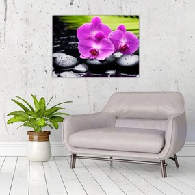 Üveg kép - Orchideák (70x50 cm)