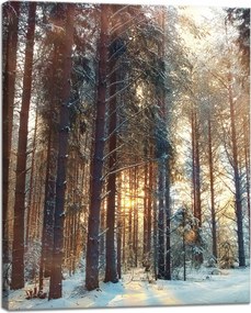 Vászonkép Erdő Tél Hó Fehér Természet 40x50 cm