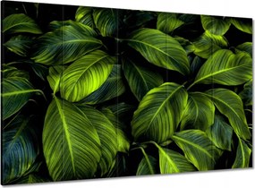 Vászonkép 100x70 Gyönyörű zöld levelek