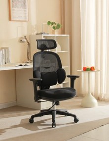 Irodai szék, fekete, ABRAMO