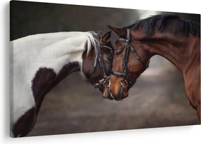 Kép - Szerelmes lovak (90x60 cm)
