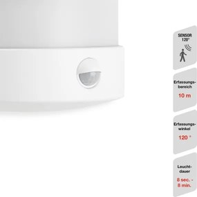Telefunken 315506TF-LED Kültéri fali lámpa érzékelővel LED/12W/230V IP44