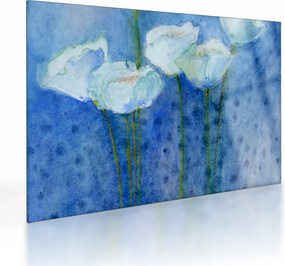 Kép - fehér tulipán (üvegen) (70x50 cm)