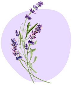 PIPPER. Textil falmatrica "Levendula"