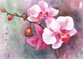 Kép - Orchideák, akvarell (70x50 cm)