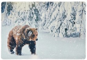 Karácsonyi lábtörlő WILD IN WHITE 38x58 cm - több változatban Változat: Medve