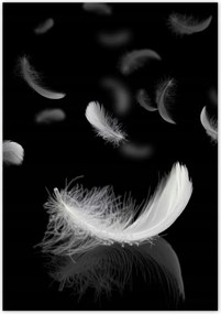 Poszterek 70x100 Hulló fehér tollak