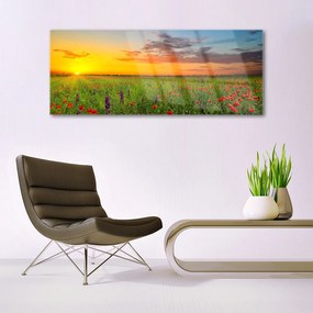 Akril üveg kép Sun mezei virágok Természet 100x50 cm